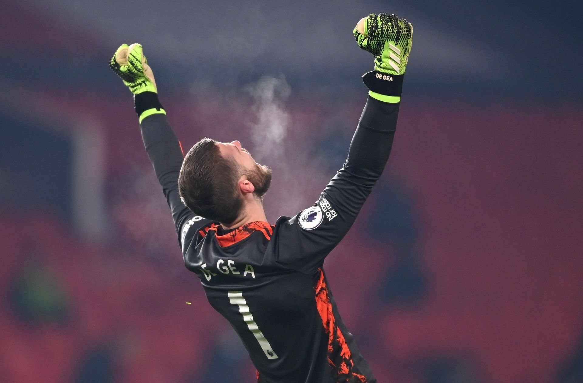 David de Gea - Manchester United