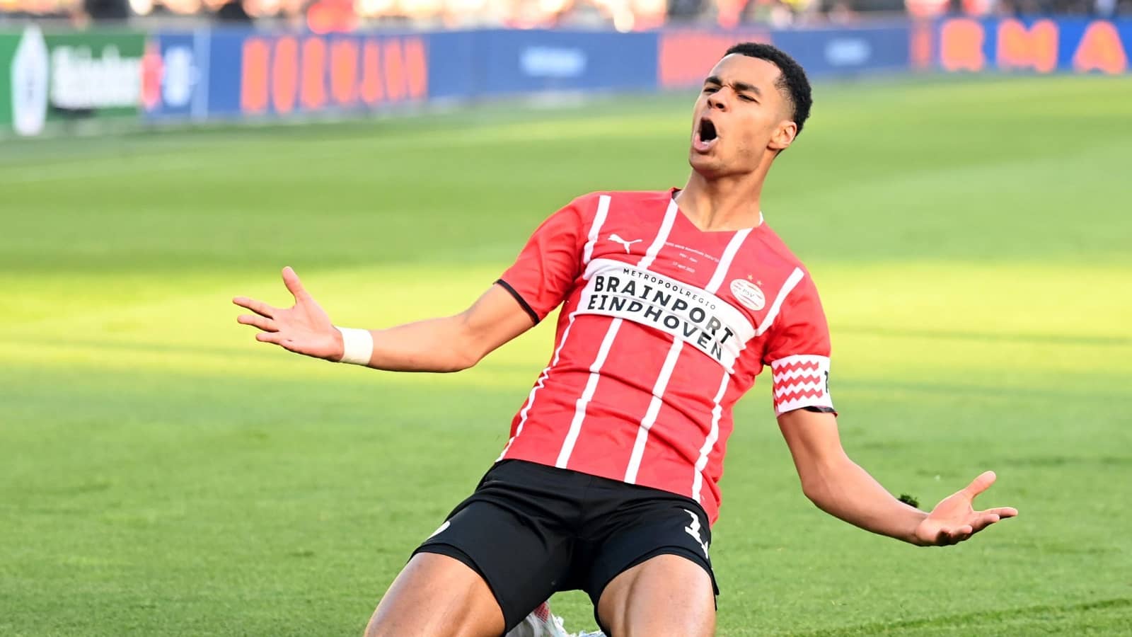 Cody Gakpo at PSV Eindhoven