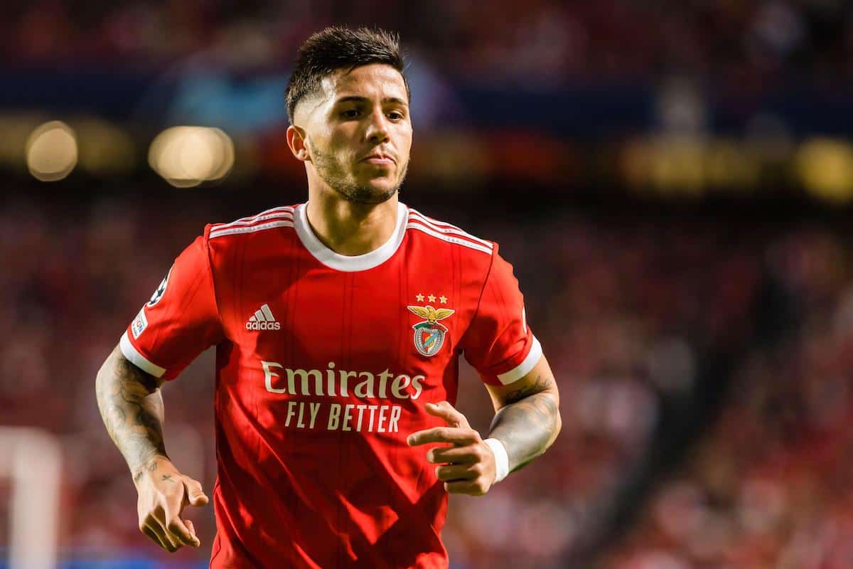 Enzo Fernandez at Benfica