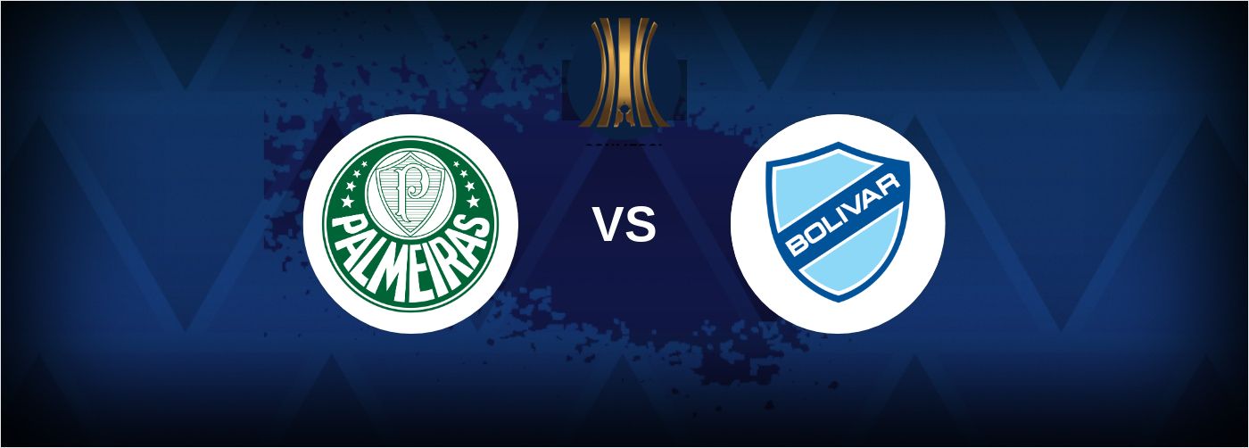 Copa Libertadores: Palmeiras vs Bolivar - Prediction, Stats & Odds