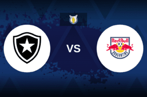 Botafogo vs Red Bull Bragantino