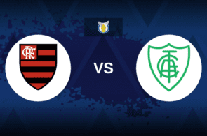 Flamengo vs America MG