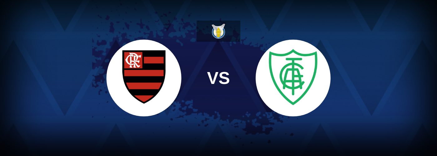 Flamengo vs America MG