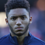 Joe Gomez Joe Gomez