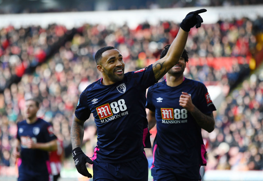 Callum Wilson, Bournemouth