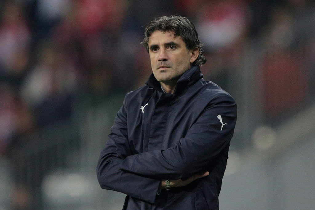 Zoran Mamic, Dinamo Zagreb